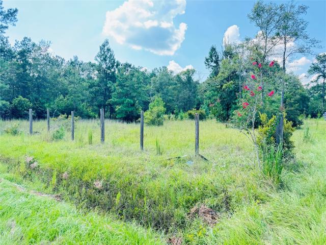 2736 Whitetail Forest Road