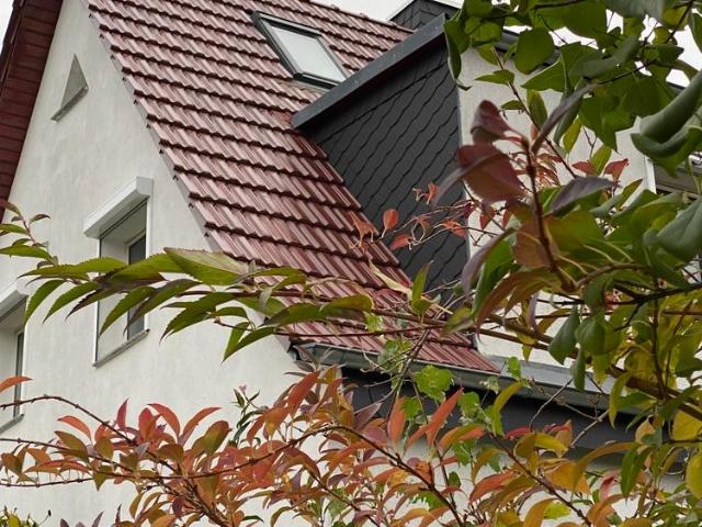 27757 HomeCompany Möbliert/Furnished Einfamilienhaus/Cottage in Leipzig Eutritzsch max. 6 Personen