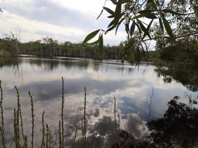274 acres 3 large dams,growing cane and cattle PRICE REDUCTION $1,550,000 NEG