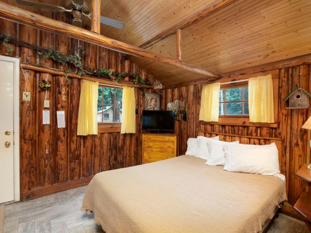274 Warrior's Path Unit# 4, Lake City, US, CO