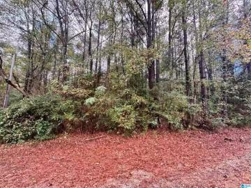 Columbiana city, Columbiana CCD Shelby County Alabama, Shelby County, Alabama, Alabama, USA