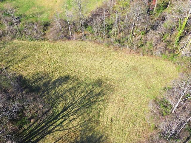 275 Merry Dale Ln, Clayton, GA 30525 | MLS #10705