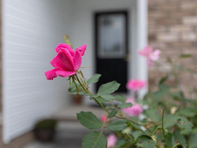 275 windermere dr