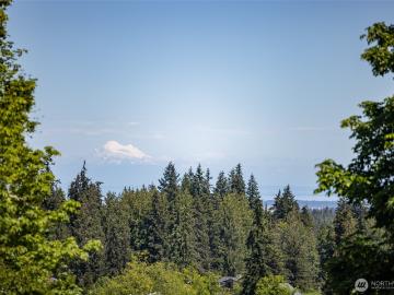 277 Shady Creek Lane