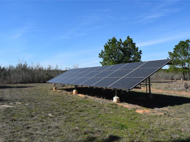 278 Winfield Thicket Rd