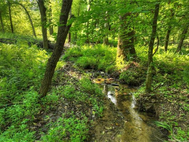 279 Shallow Water Trail