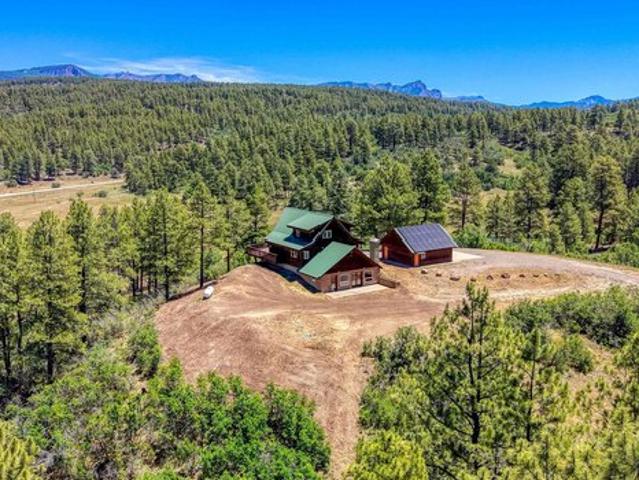 2800 Stallion Pl, Pagosa Springs, CO 81147