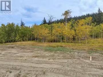 280 Blackstock Road, 100 Mile House, BC, V0K 2E3 vacant land.