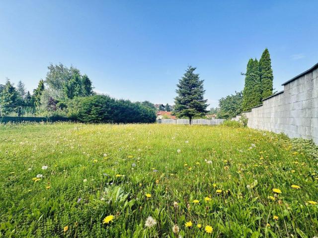 2811 Wiesmath Eigennutzen oder Rendite Tolle Erdgeschosswohnung mit 43 m² und allgemeinen Garten Top 1 in Wiesmath