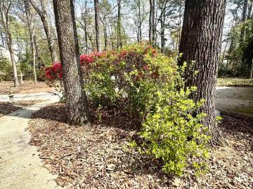2825 Acton Road