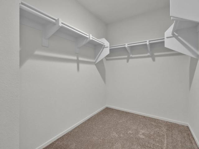 28216 Molasses Ct, Valley Center, CA 92082 | MLS #260009