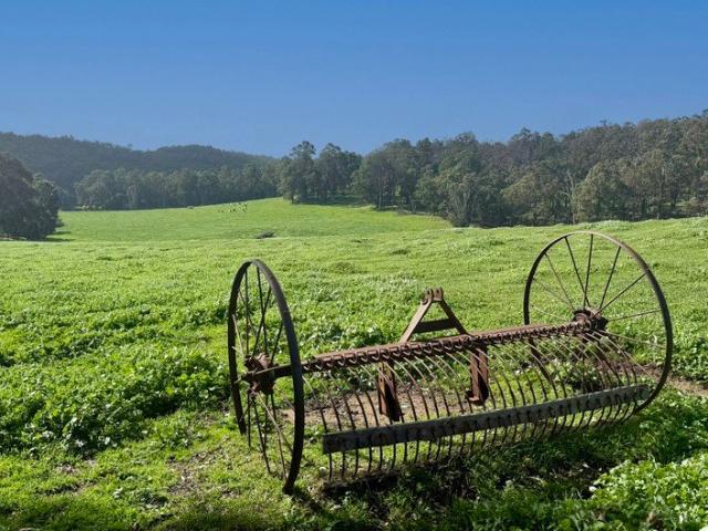 282 acres with private airstrip