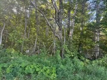 2832 Rte 14, Glenwood, PE, C0B 1V0 vacant land for sale Lis.