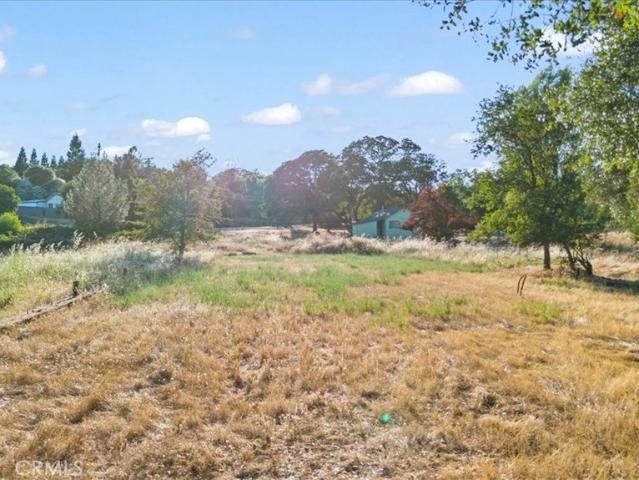 283 Mountain View