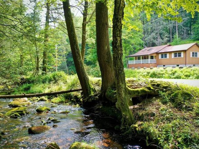 283 Pepacton Hollow Rd, Grahamsville, NY 12740