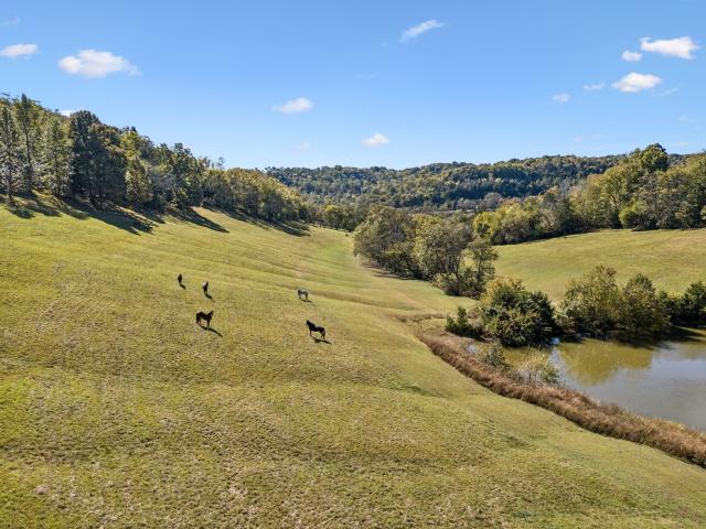 2846 Fuller Hollow Rd