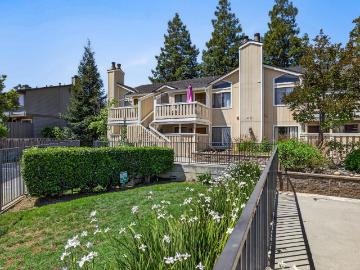 95138, San Jose city, Santa Clara County, California, USA