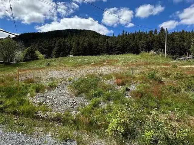 286 290 Main Street, Clarke'S Beach, NL, A0A 1W0 vacant land.