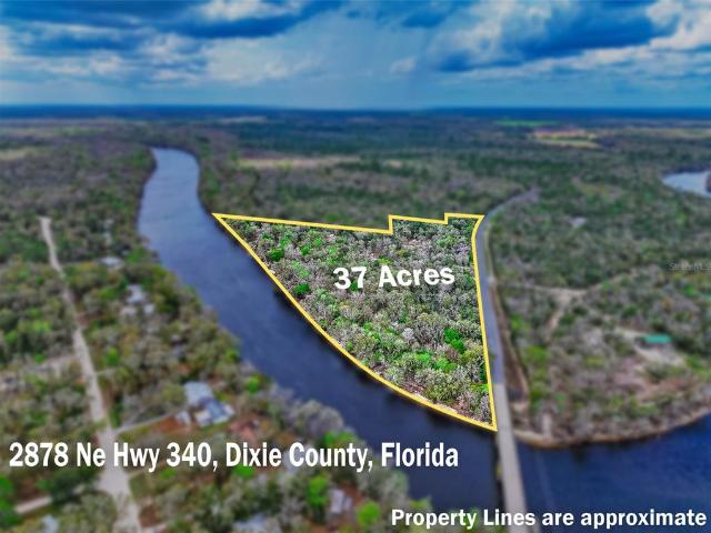 2878 NE 340 Hwy, Old Town, FL 32680 | MLS #TB8484