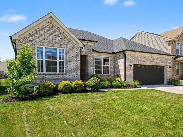 2871 Shadbark