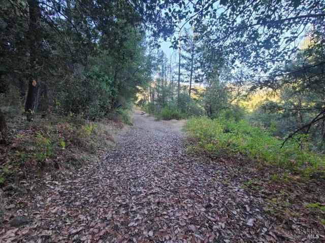 28990 Eel River Ranch Rd, Covelo, CA 95428 | MLS #325080