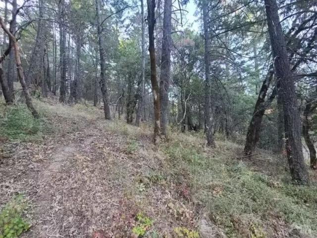 28990 EEL RIVER RANCH RD, COVELO, CA 95428