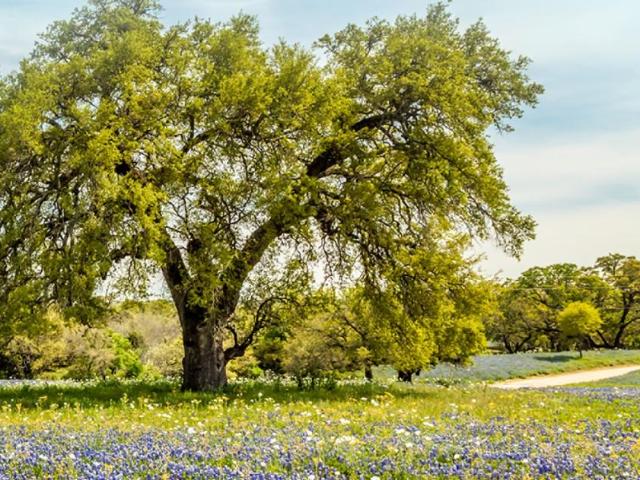 2893 Heritage Heights Rd