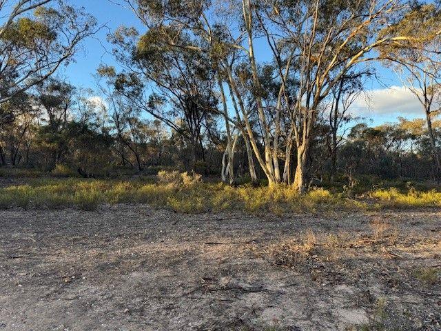 28 ACRES OF BUSH PERFECT! THERE IS GOLD IN THOSE HILLS