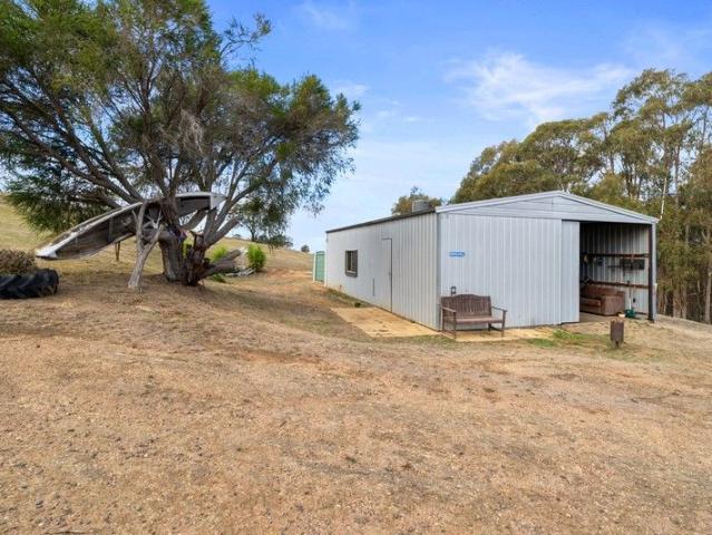 28 acres of natural bush with a nice shed