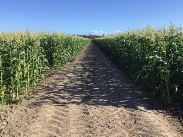 28 acres PRIME LAND CLOSE TO TOWN WITH 2 WATER SOURCES