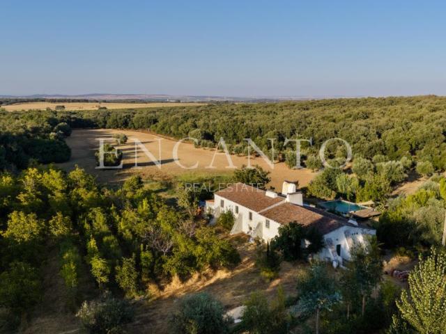28 hectares, monte alentejano e agrofloresta junto de Estremoz