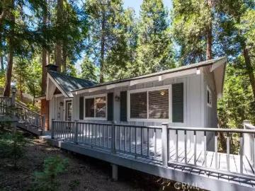 29054 ALDER TER, CEDAR GLEN, CA 92321