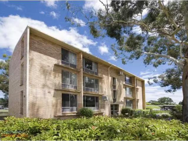 29/1 Mc Culloch Street, Curtin Apartment for rent Listed by J.