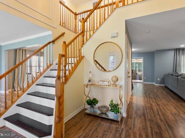 2929 Ancon Court
