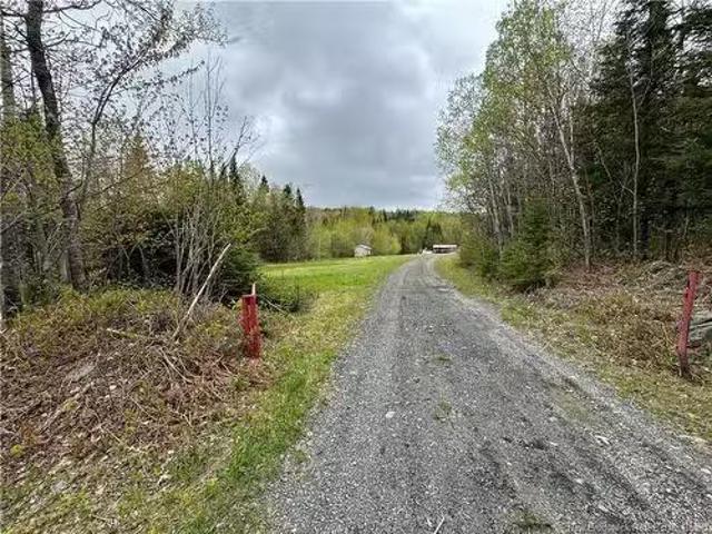 292 Chemin Ruisseau À Thibodeau, Saint Basile, NB, E7C 2L8 h.