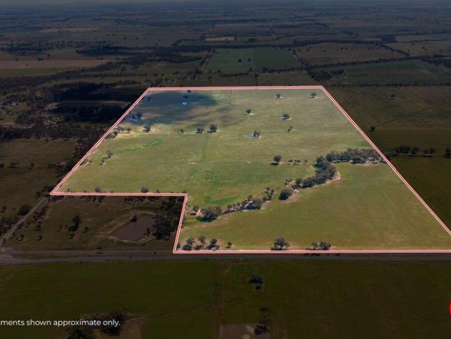 292 Acres of Rural Opportunity & Natural Beauty