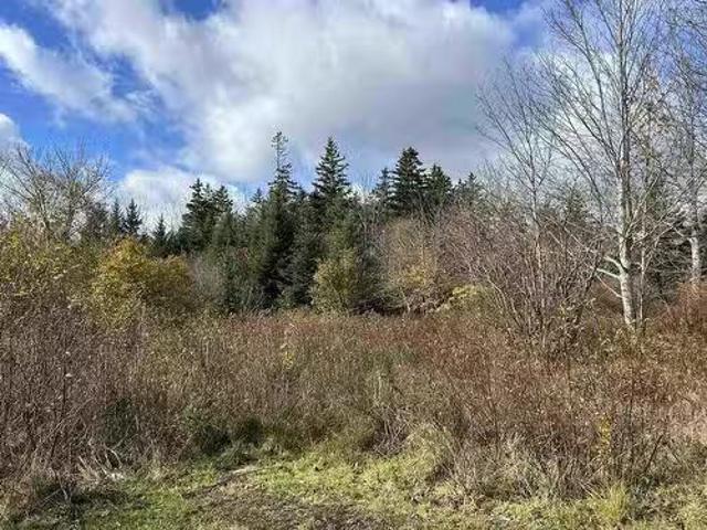 2936 Highway 3, Barrington, NS, B0W 1E0 vacant land for sale.