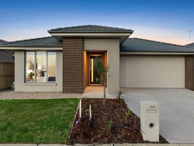 293 Boundary Road