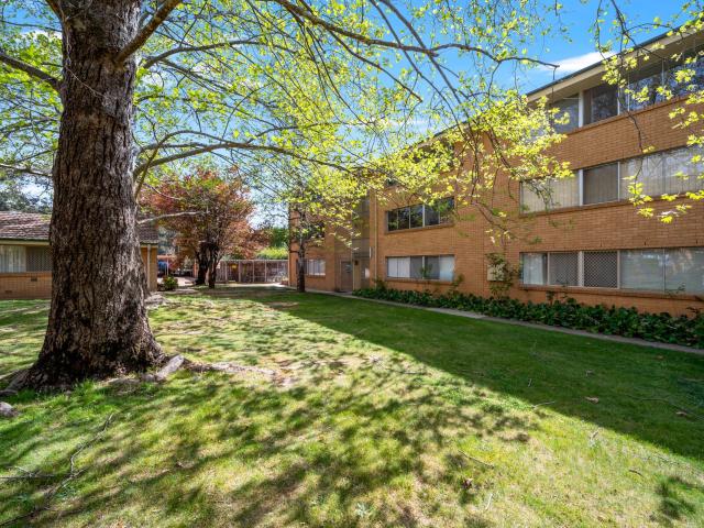 29/41 David Street O'connor
