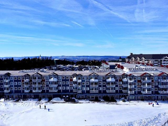 294 Mountain Ldg, Snowshoe, WV 26209