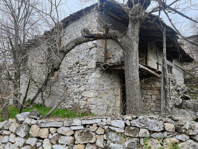 294 Mt.köy Taş Evi.tadilat İstiyor. Tek Tapu.su,elkt,yol