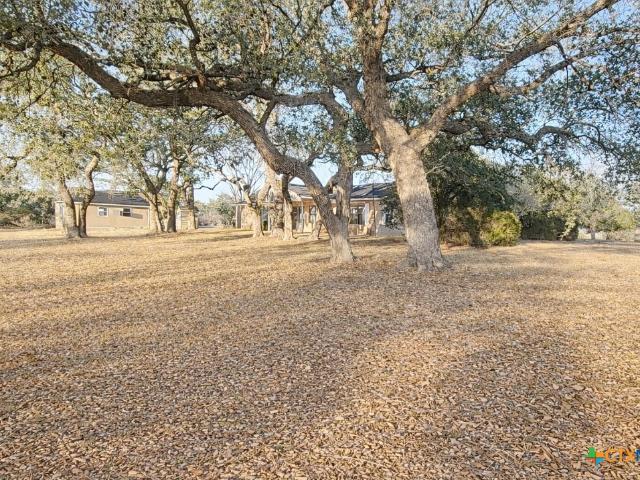 2950 Farm to Market Road 884, Yorktown, TX 78164 | MLS #604069
