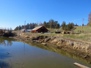 295 Co Rd 149