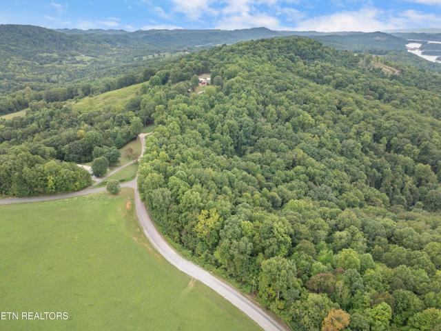 295 Bob Wright Rd