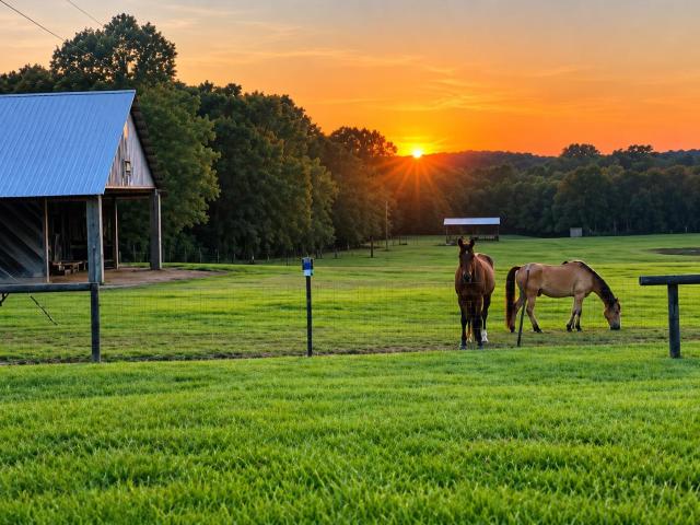 295 Johnson Bottom Rd