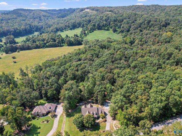295 Spindletop Drive