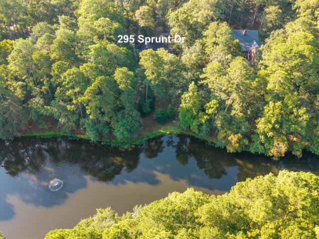 295 Sprunt Drive