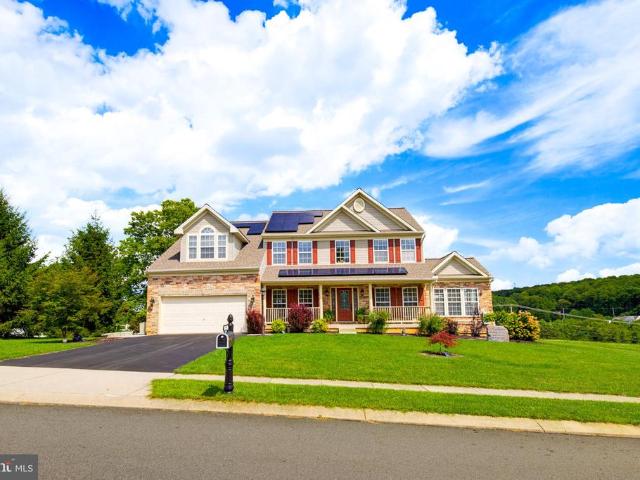 295 Palomino Drive