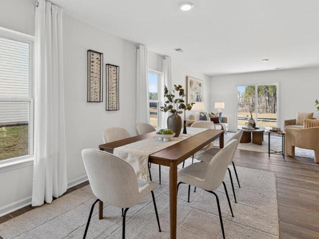295 Palm Drive