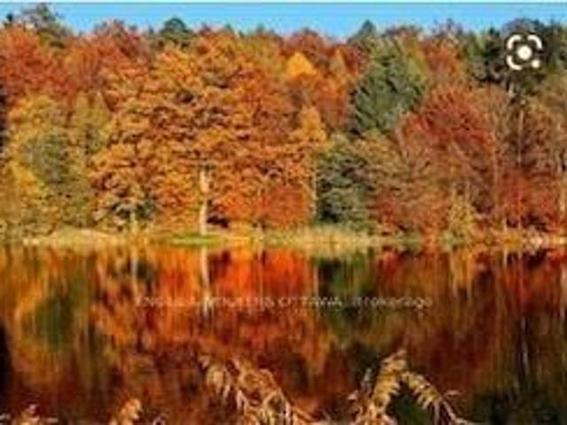 2964 9th Line, Beckwith